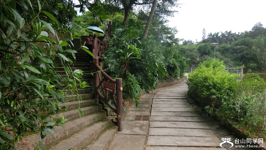 CIMG7090.JPG