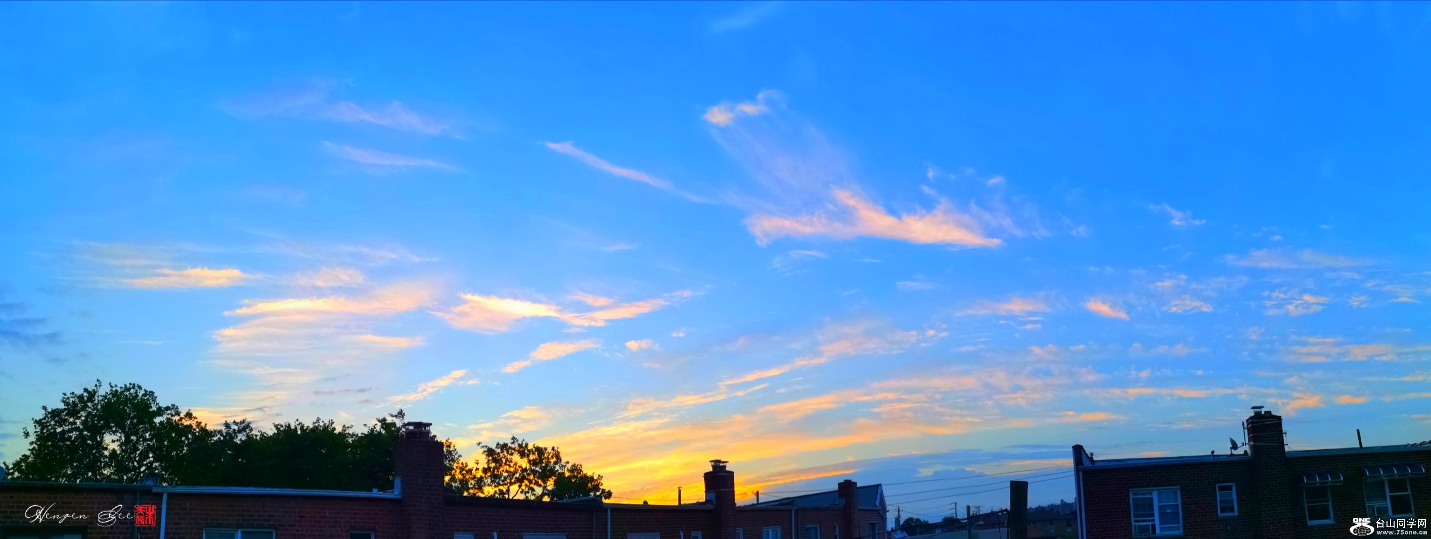 WGP_2020_07_29_07_22_32_1596021752862 (2)_.jpg