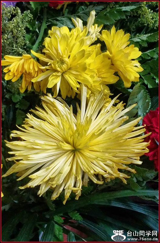 WeChat Image_20201015175358.jpg