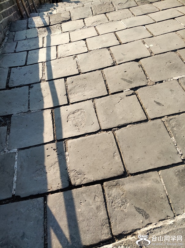P01029-155135.jpg