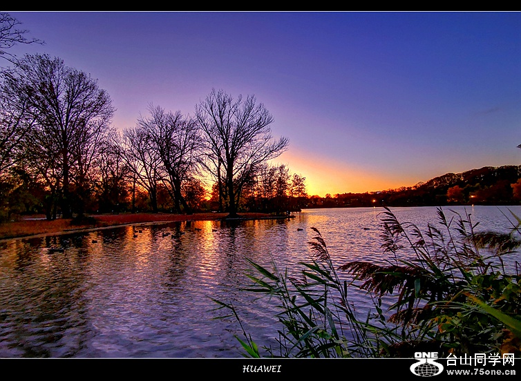 IMG_20201114_163322.jpg