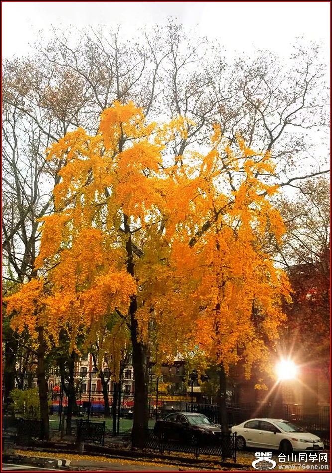 WeChat Image_20201217095220.jpg