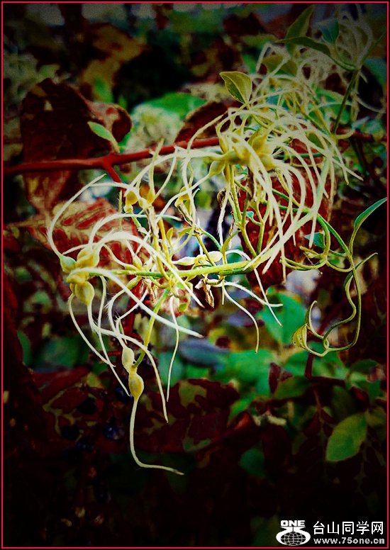 WeChat Image_20201109195108.jpg