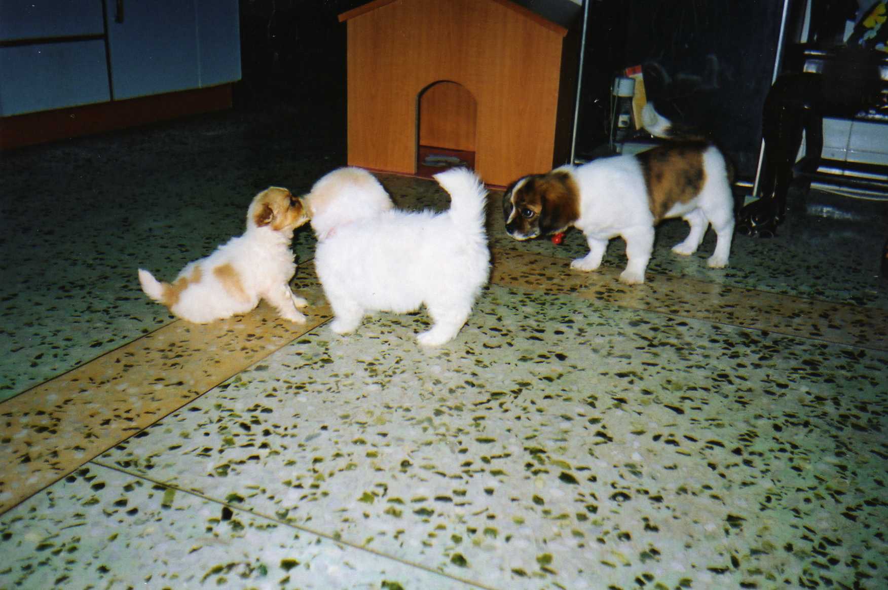 img083.jpg