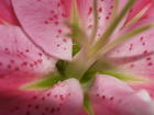 u=2706550305,478509746&gp=4.jpg