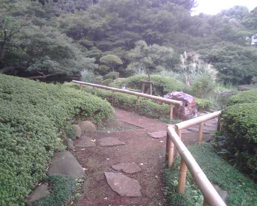 005.jpg
