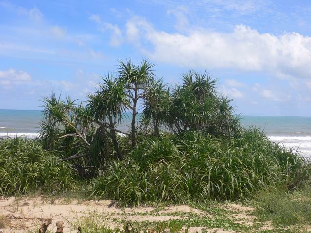 С P1050751.JPG