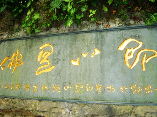 P1000435.JPG