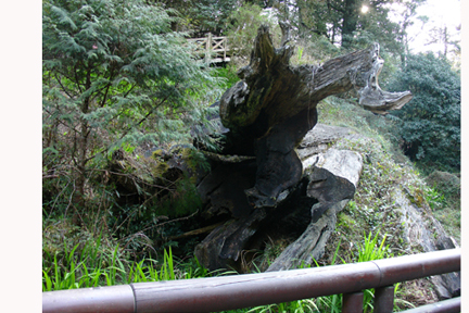 DSC04378.JPG