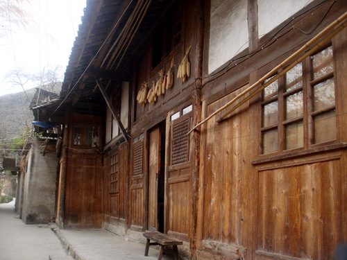 DSC00084.jpg