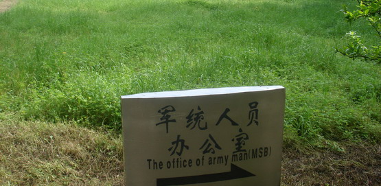 1 (11).jpg