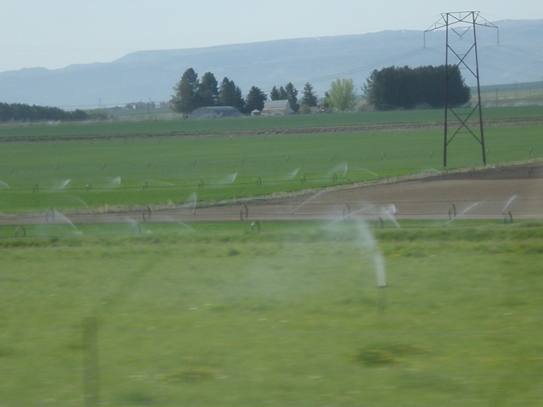 P5180059.JPG