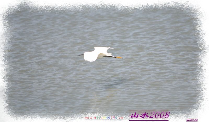 IMG_4092.jpg