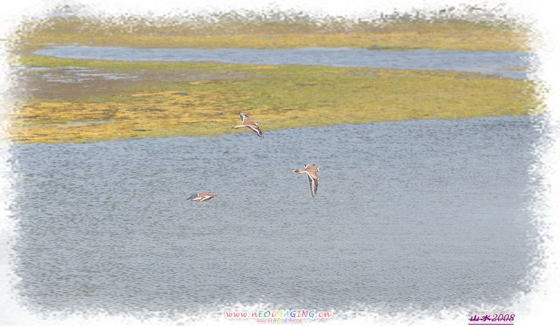 IMG_4142.jpg