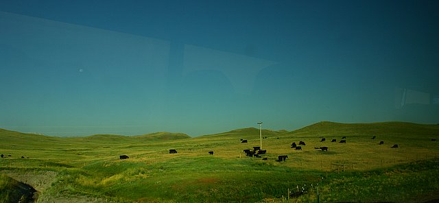 DSC05782.JPG