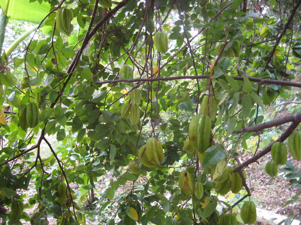 Ƭ 025.jpg