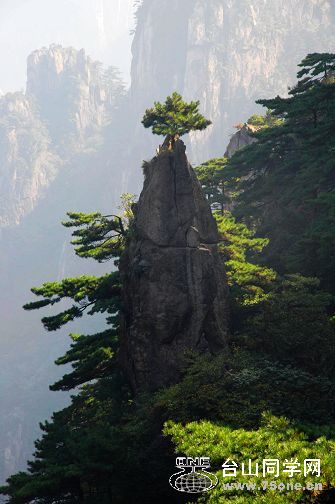 DSC_0997.JPG