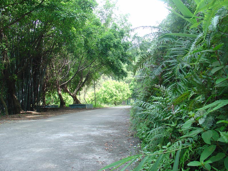 DSC01058.jpg