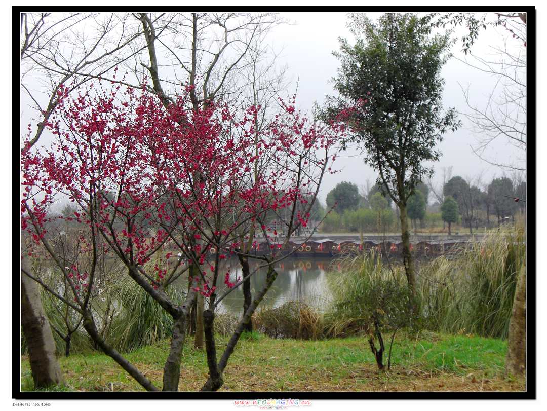 CIMG0501 Ϫ÷1 С.jpg