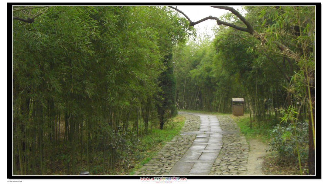 CIMG0504 ϪС С.jpg