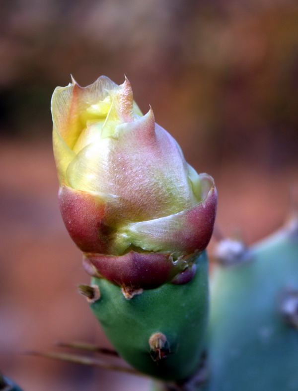 Ƭ 048.jpg