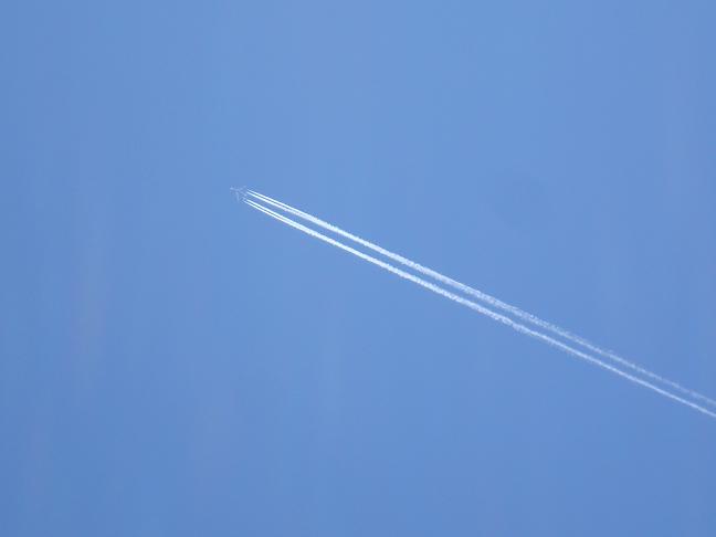 DSC05085.JPG