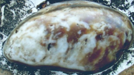 DSC02675_.JPG