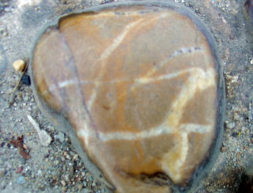 DSC02702_.JPG