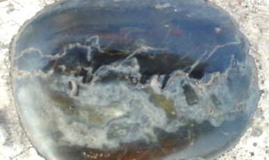 DSC02656_.JPG