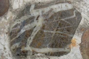 DSC02700_.JPG