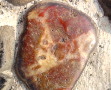 DSC02653_.JPG