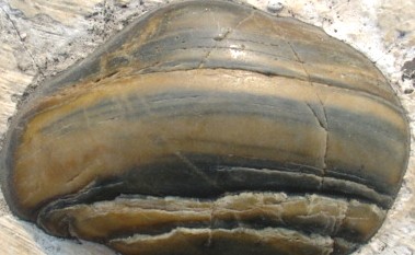 DSC02652_.JPG