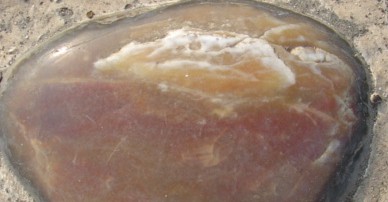 DSC02650_.JPG