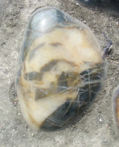 DSC02692_.JPG