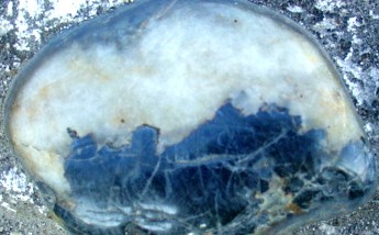 DSC02681_.JPG