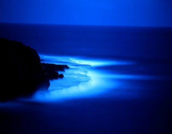 image010[1].jpg