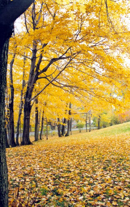image009[1].jpg