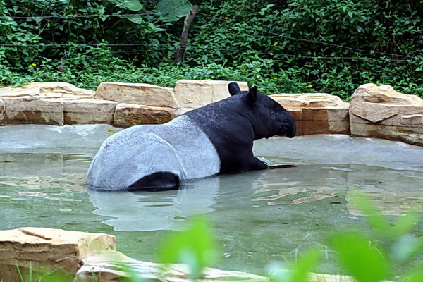 IMG_7318.jpg