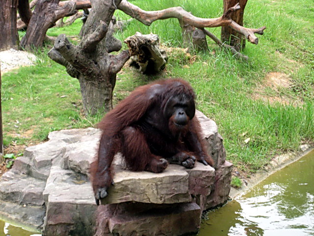Ƭ 045.jpg