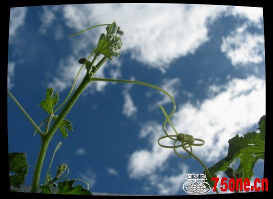 20098 036.JPG