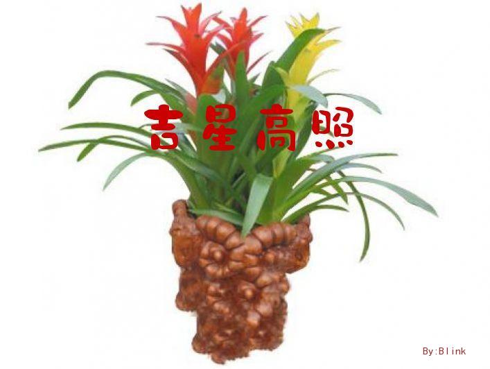 \"/data/attachment/forum/pw/bbsxp/2010-2/20102242718.jpg"