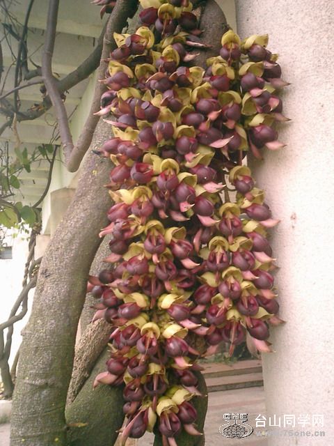CIMG0221.JPG