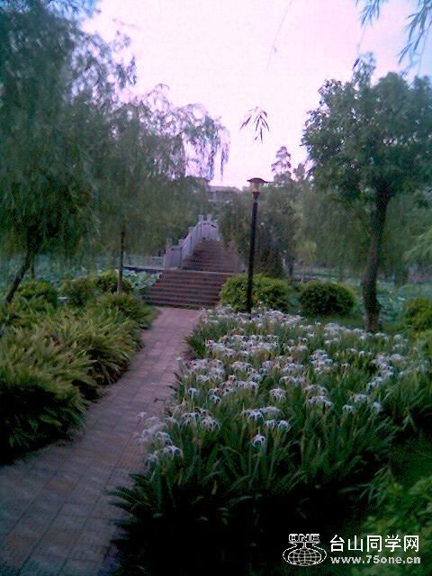 0624_062245(羰߶).JPG