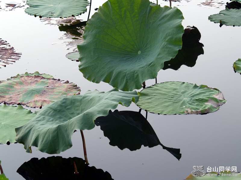 P7032040ӽ̾.jpg