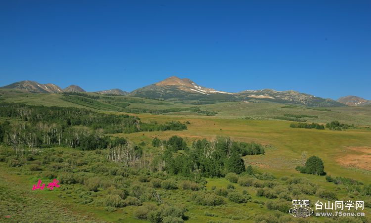 IMG_9695.jpg