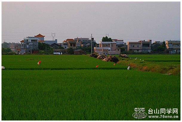 DSC_6596_.jpg