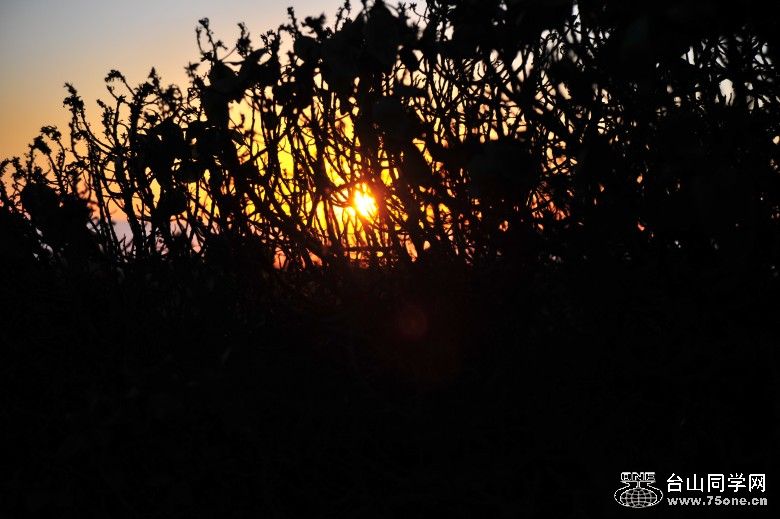 DSC_0469_conew1.jpg